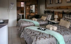 Diamond Rose Guest House - Middelburg Accommodation - Room 08