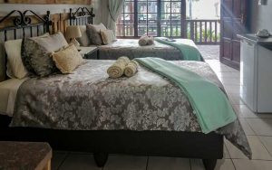 Diamond Rose Guest House - Middelburg Accommodation - Room 08